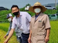 210812 김인영 의원, 이천쌀 조기수확 실증 평가 현장 방문 (2).jpg