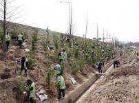 성남시는 식목일을 맞아 4월 5일 오전 중원구 여수동 75-1번지 일원 수도권 제1순환 고속도로변 사면에 나무 430그루를 심었다.jpg width: 100%; height : 150px