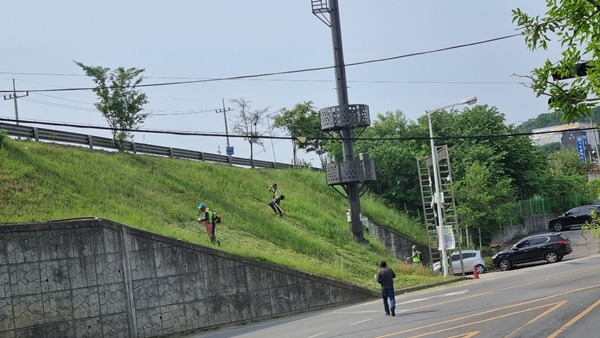 광주시 오포읍, 주요 도로변 예초 작업 및 화단 정비 실시 (2).jpg