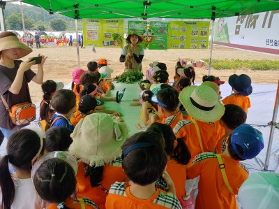 [크기변환]농업기술센터-성남시민농원에 감자 캐러온 어린이들(자료사진).jpg