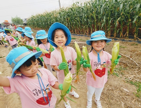 농업기술센터-성남시민농원서 7월 18_21일 옥수수 따기 체험 행사 열린다(자료사진).jpg
