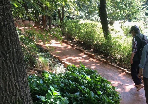 공원과-성남시 대원공원 맨발 황톳길.jpg